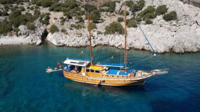 Amazing Blue Voyage